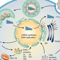 Virology Course